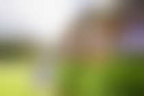 Mulch Your Landscape